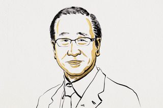 Kitagawa, Susumu
