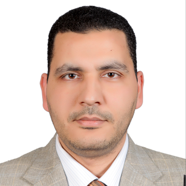 Ali, Mahmoud N.