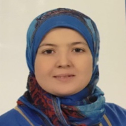 Ibrahim, Dina M.