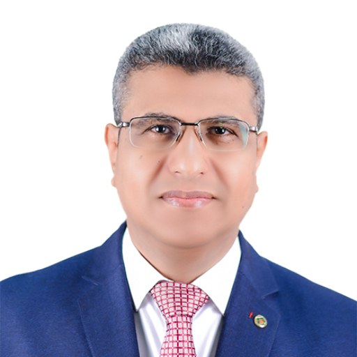 Alsafy, Mohamed A.M.