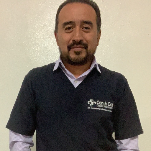 Hernández-Avalos, Ismael
