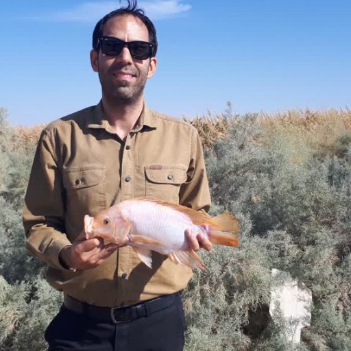 Shekarabi, Seyed Pezhman Hosseini
