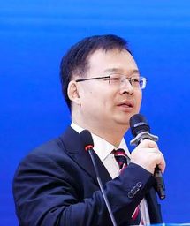Wenwu Zhao