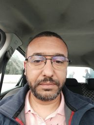 Ben Jebli, Mehdi