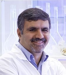 Taherzadeh, Mohammad J.