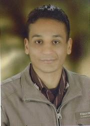 Elsayed, Ebrahim E.