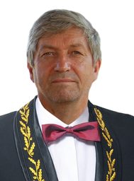 Berinde, Vasile