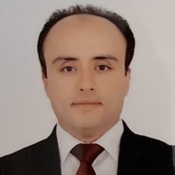 Ahmed El-Fiqi