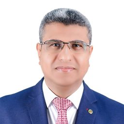 Mohamed Alsafy 