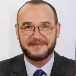 Kamel, Ayman H.