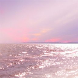 AAA